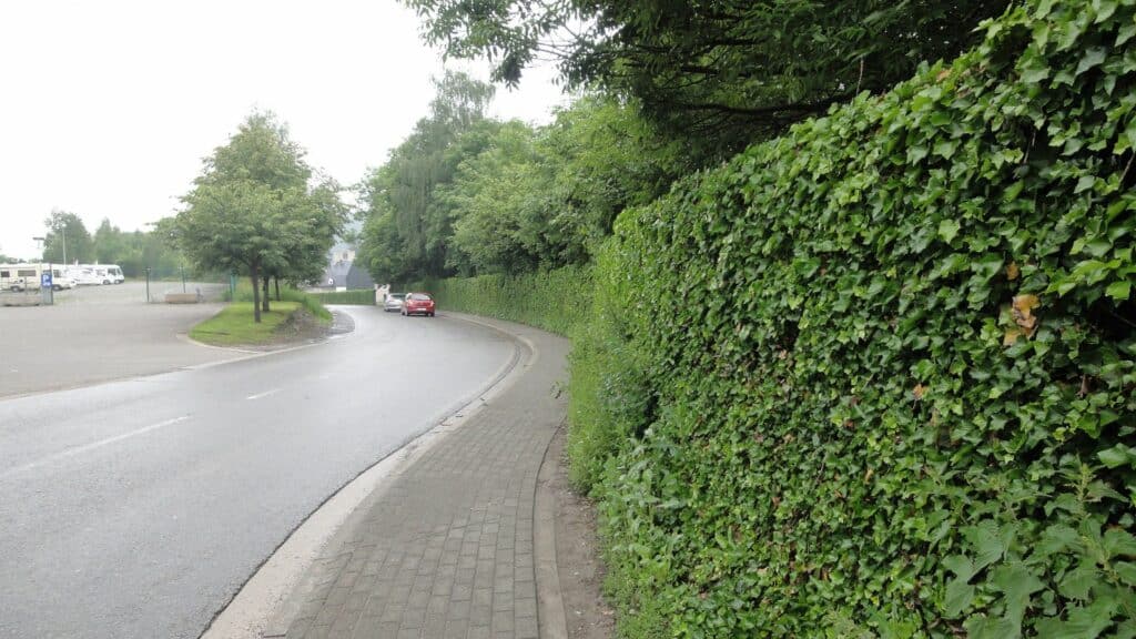 Begrünte Lärmschutzwand entlang einer kurvigen Straße.