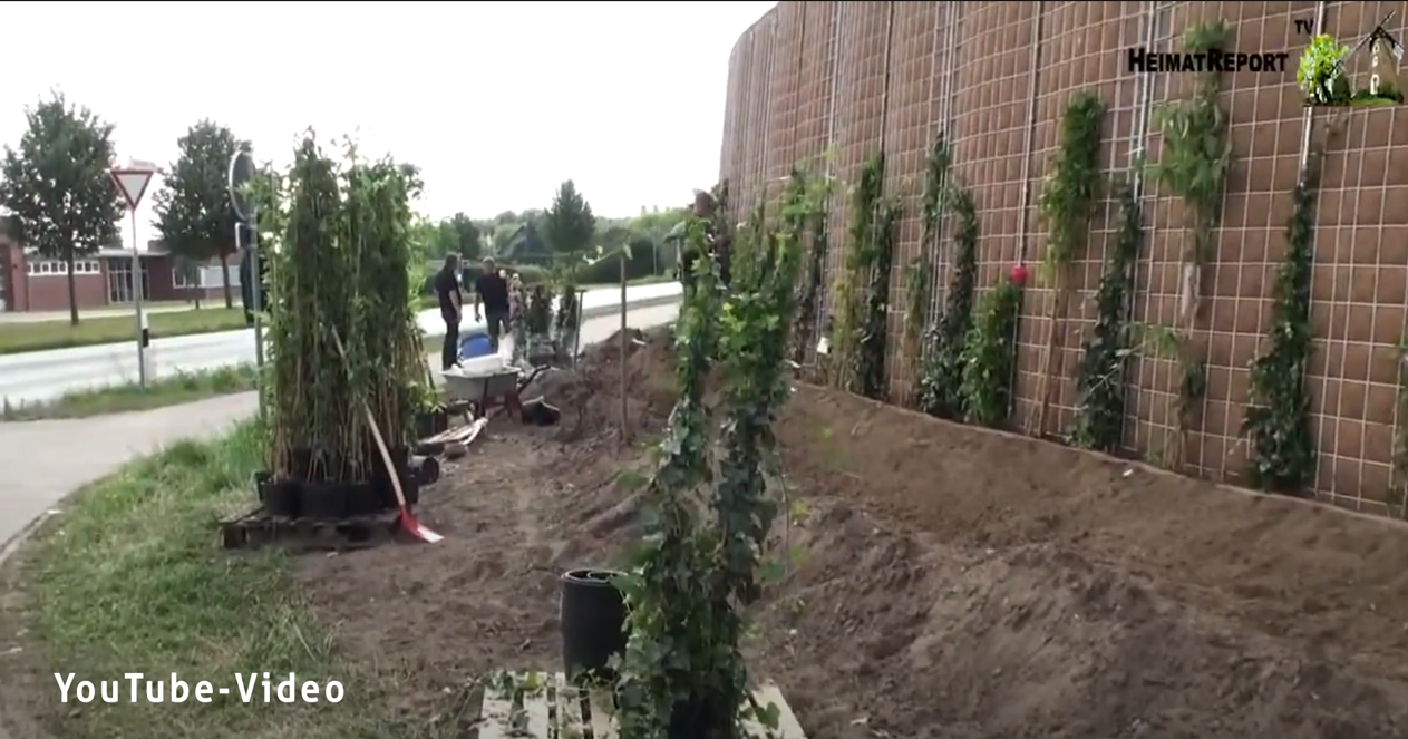 Planting-Raesfeld-grey
