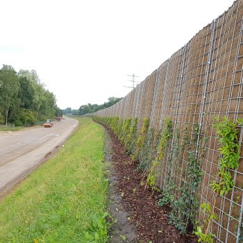 Leicht begrünte Lärmschutzwand entlang einer unbefestigten Straße